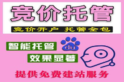 数据分析助力信息流广告：某品牌成功案例揭秘